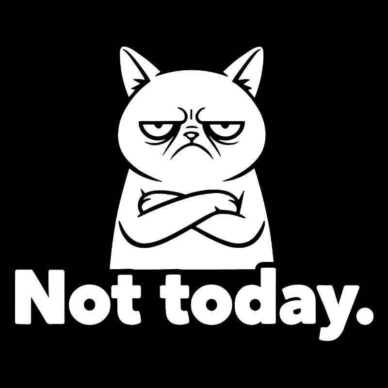 Grim Cat Not Today Meme