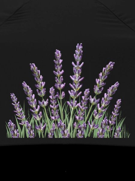 Lavender stalks Lavender