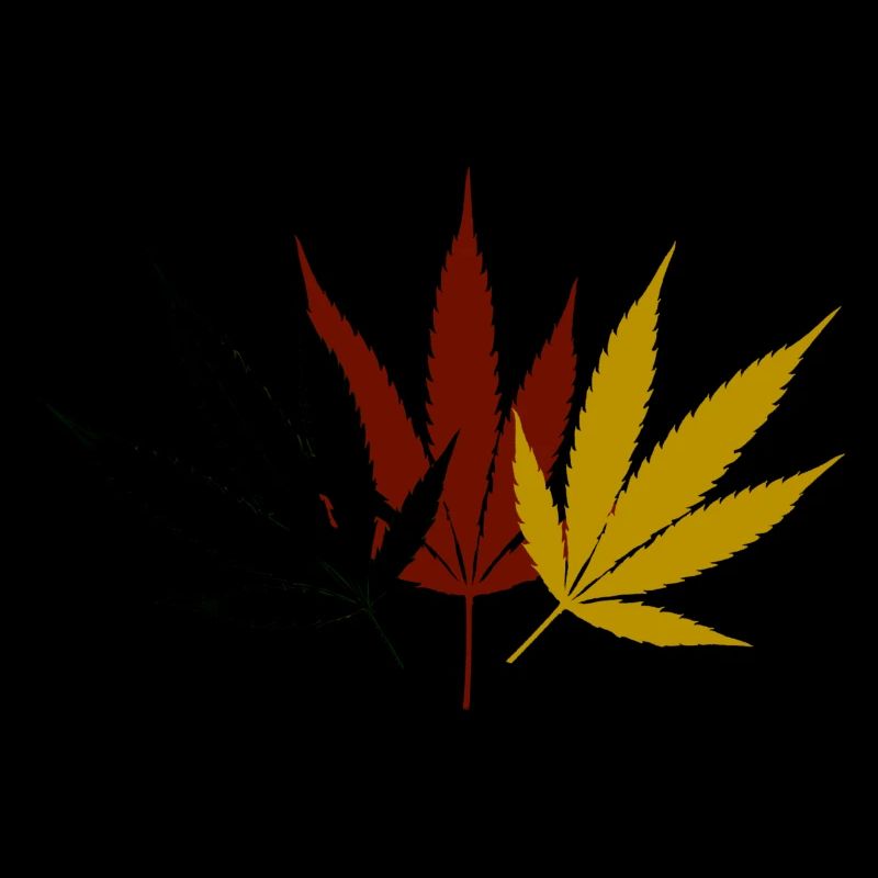 Cannabis Noir Rouge Or