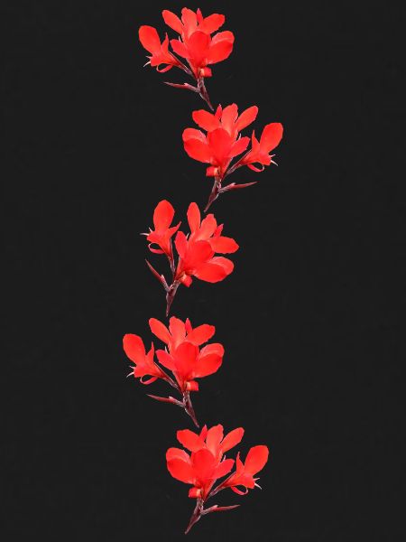 red flowers