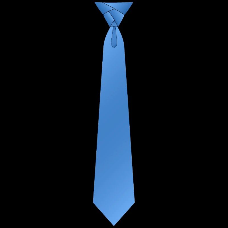 Eldregde cravate bleue