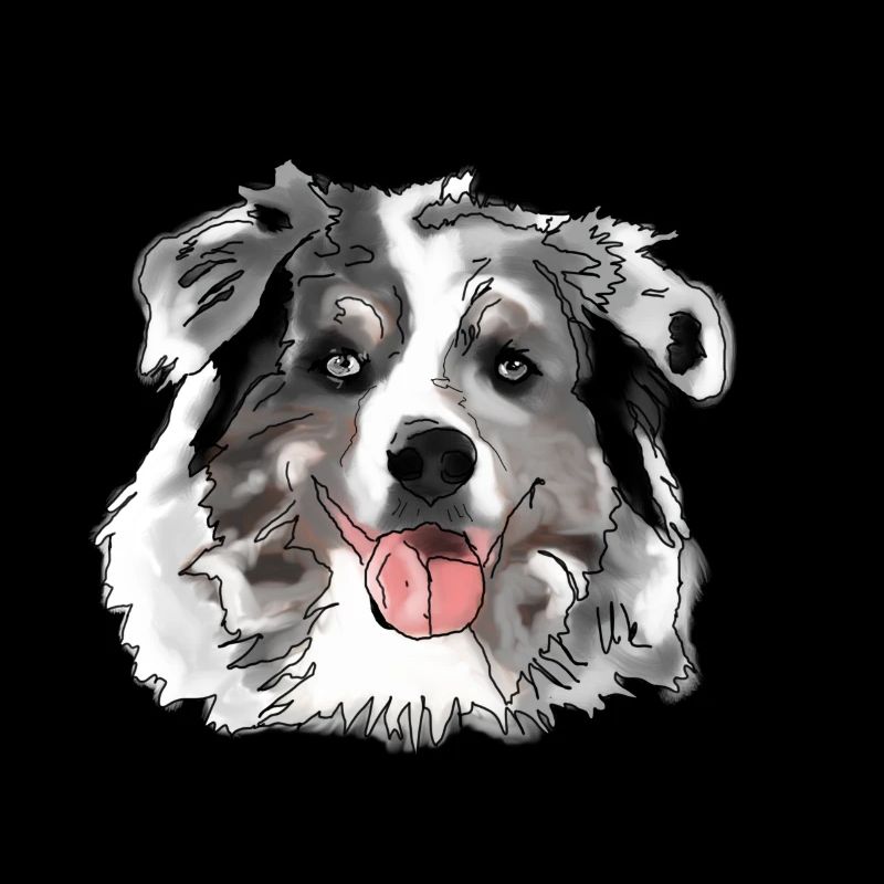 Border Collie