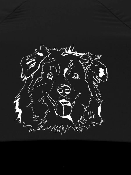 Australian Shepherd