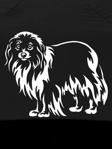 Phalène « Black Edition »