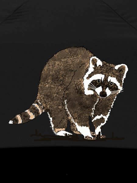 Waschbär