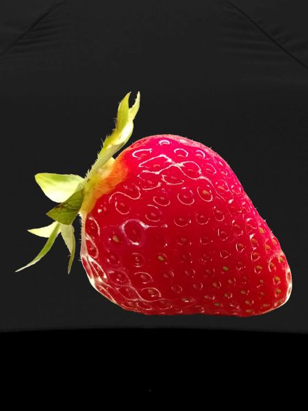 FRAISE