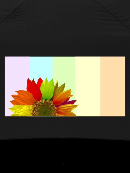 Bunte Regenbogen-Sonnenblume – Pastellstreifen-Aesthet