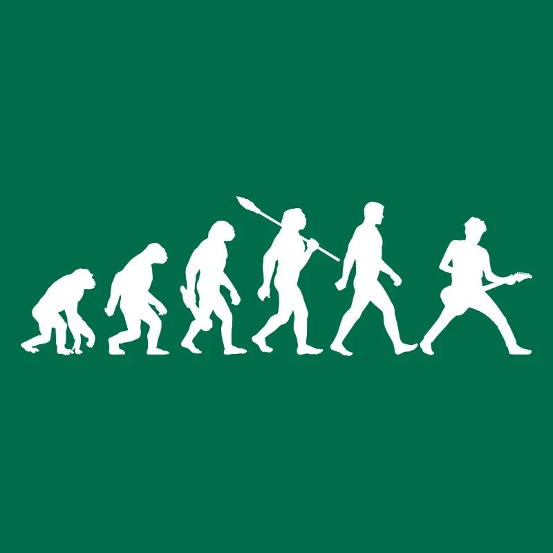 Evolution Guitariste Musicien Rock
