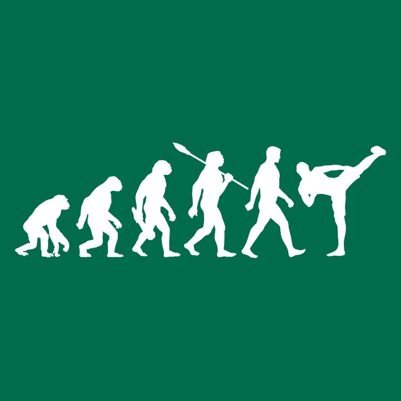 Evolution - MMA - Martial Arts