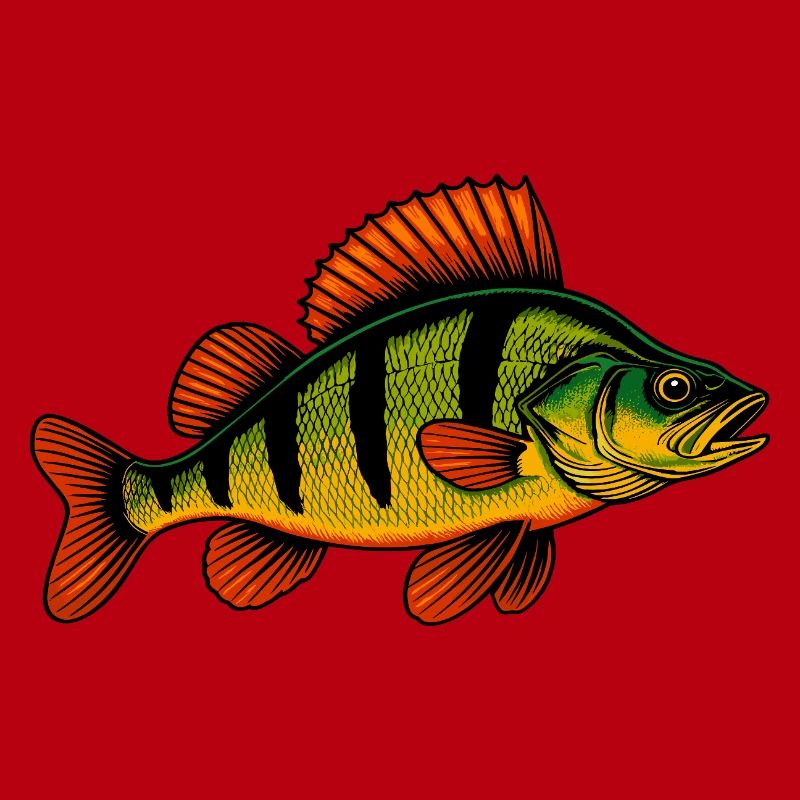 Perche Perche Perche Perche Perche Pêche Perche Perche