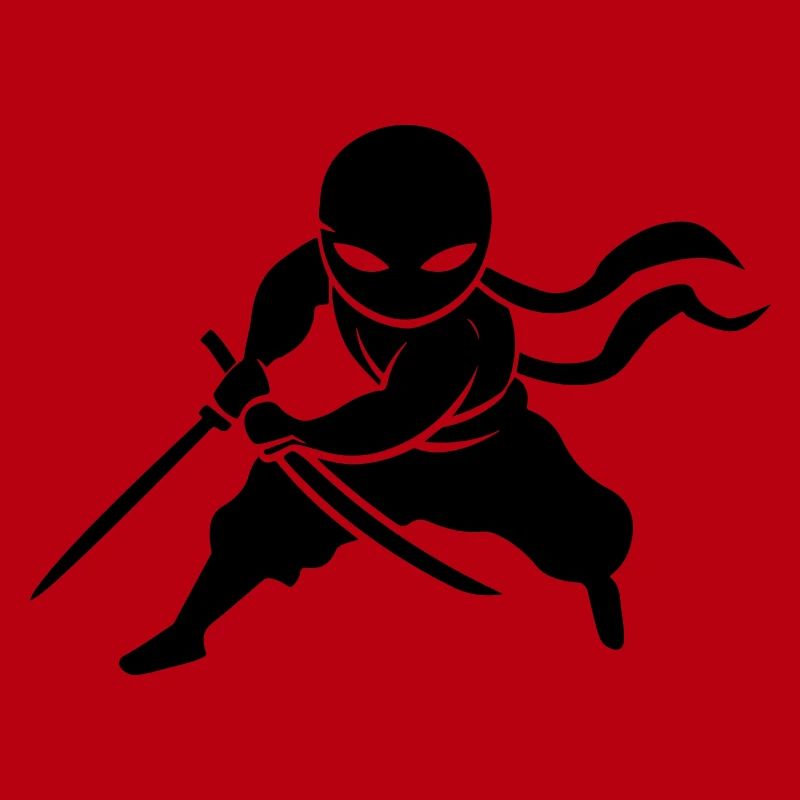 Ninja Samurai