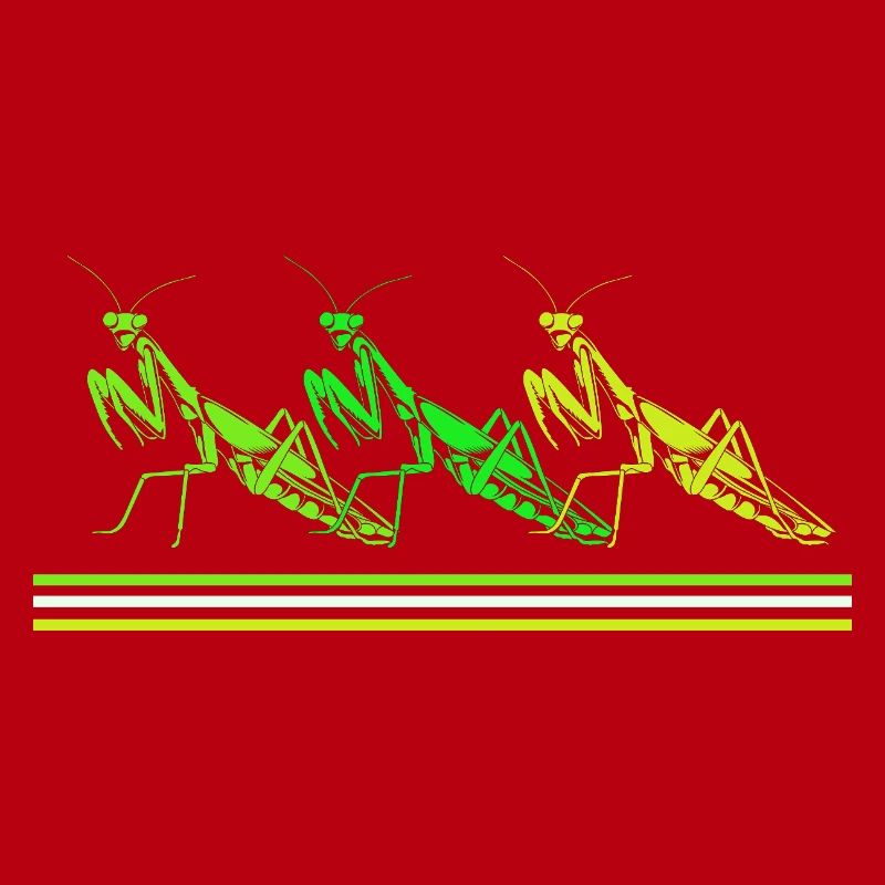 Mantis Gottesanbeter Gottesanbeterin
