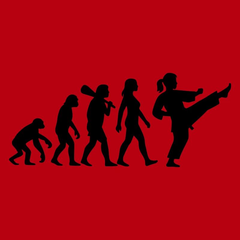 Karate Evolution