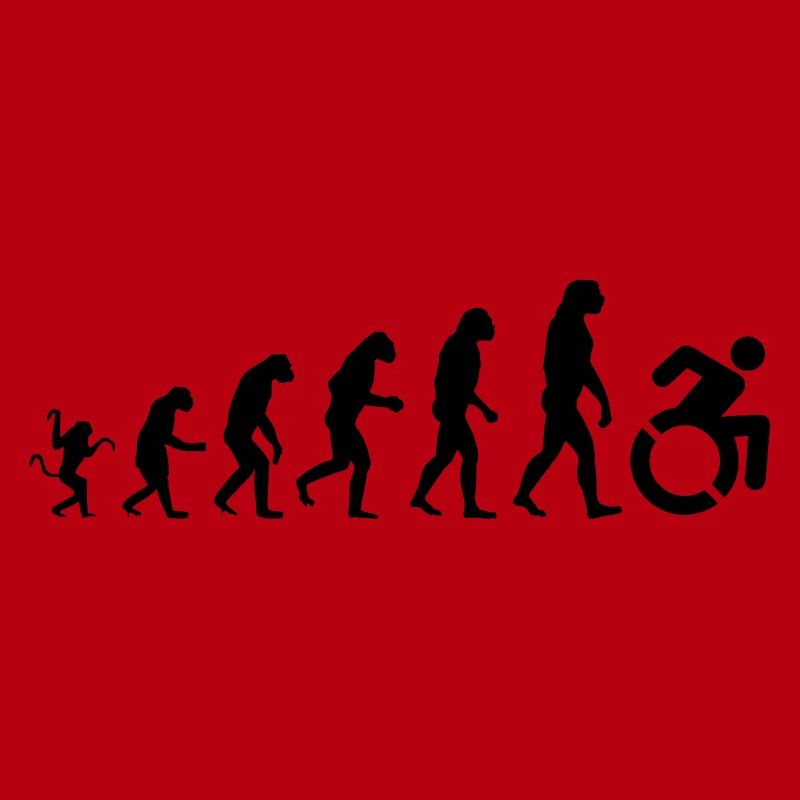 Wheelchair evolution *