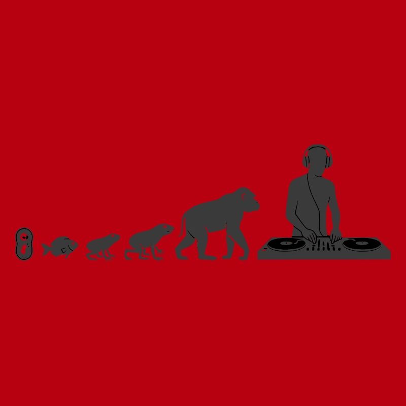 Evolution zum DJ