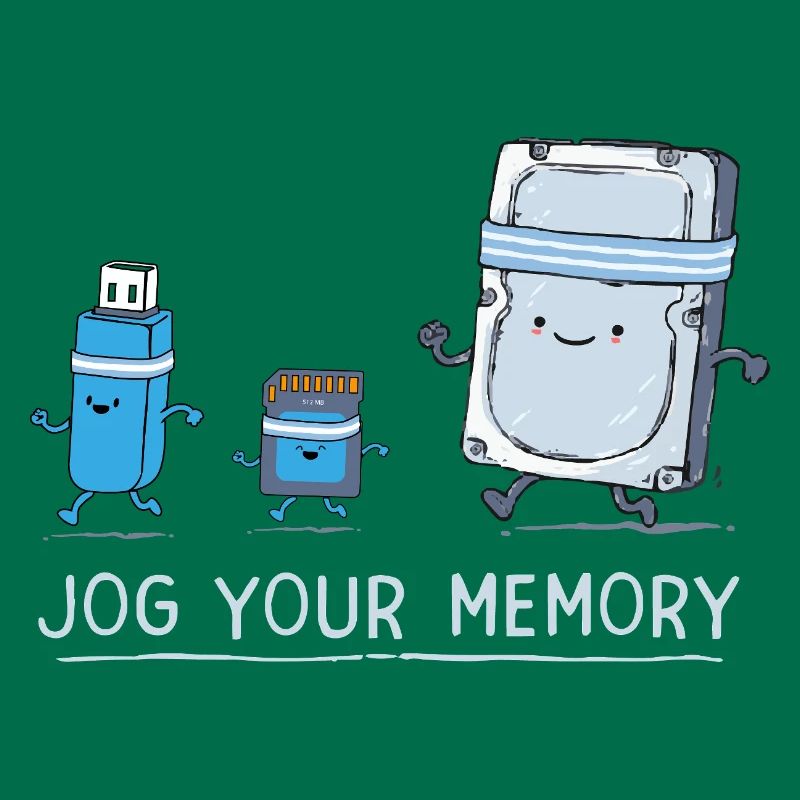 Software Engineer IT Support J-og Your Memory Gym 