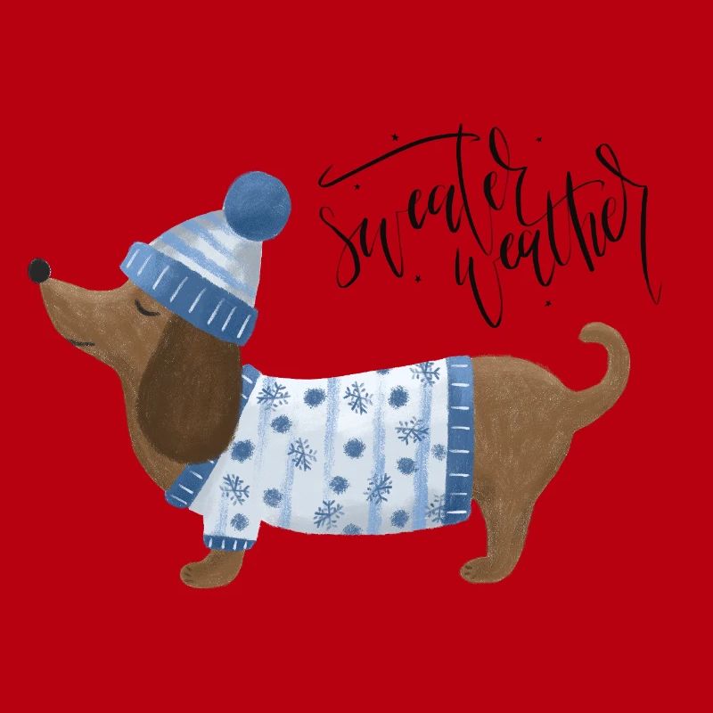 Teckel avec pull et chapeau Pull Météo bleu