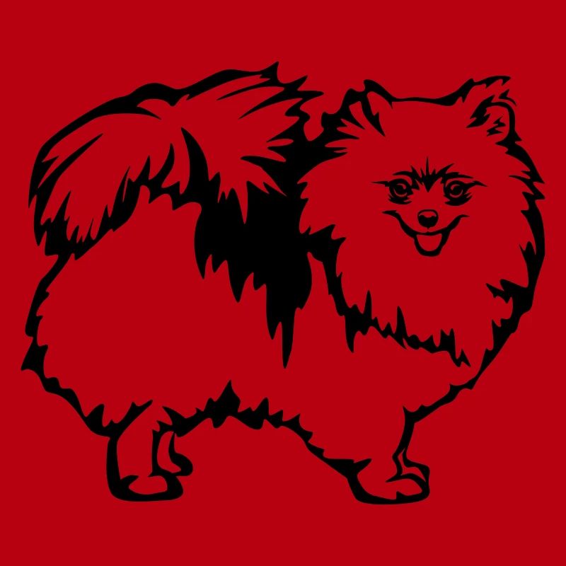 Dwarf spitz