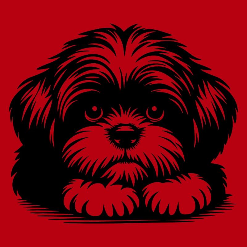 Tête de Shih Tzu avec pattes