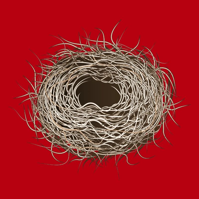 empty bird's nest or easter basket for spring