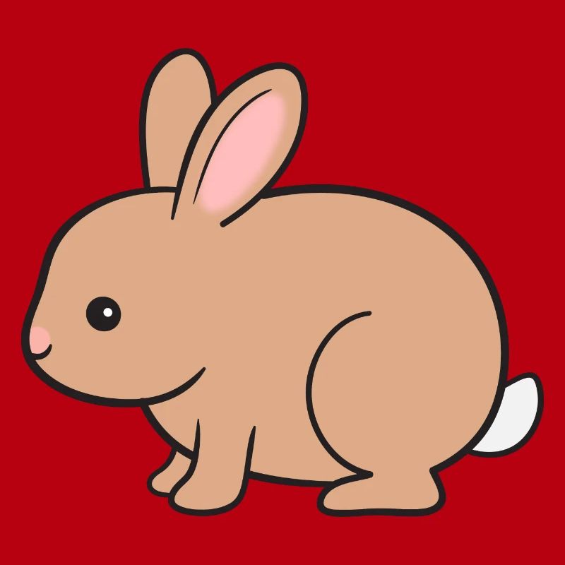 Rabbit Rabbit