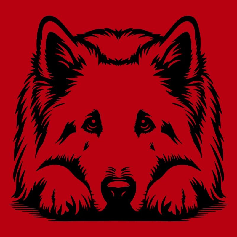 Schweizer Schäferhund