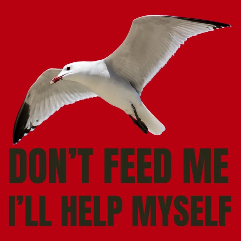 Möwe mit mutigem Statement