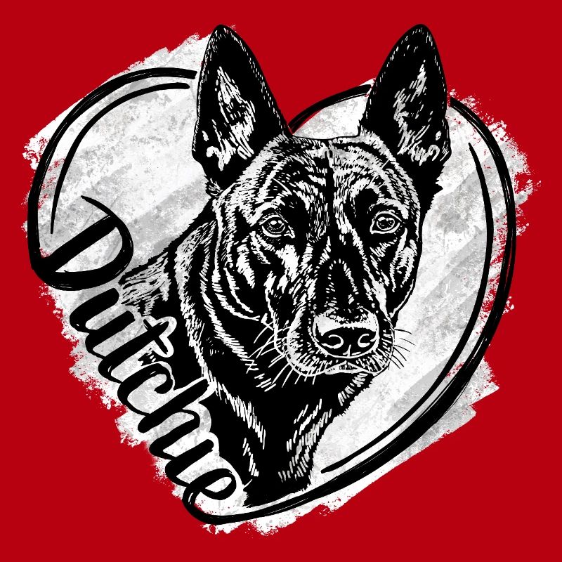Dutch Shepherd – Dutchie