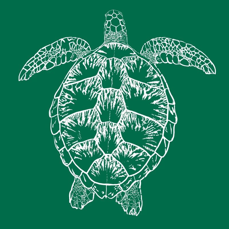 Turtle white2