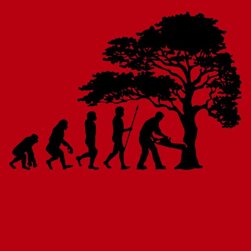 Lumberjack Tree Evolution sciure de bois