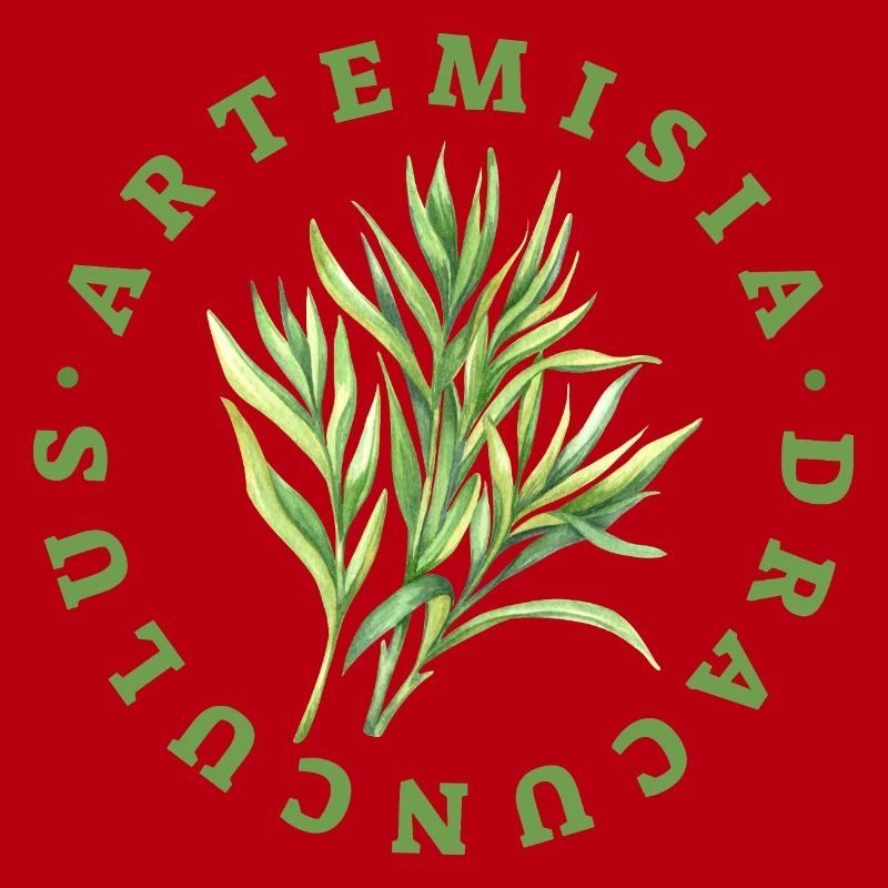 Artemisia Dracunculus Blattemblem