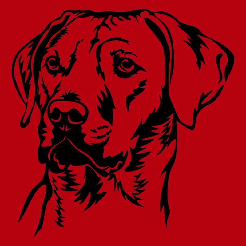 Rhodesian Ridgeback head