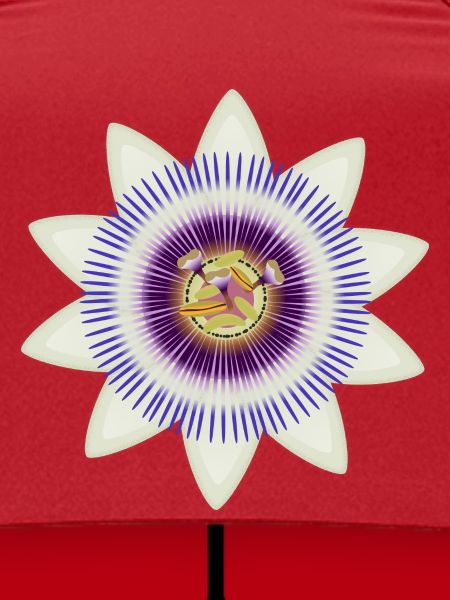 Kunstvolle Blüte einer Passionsblume
