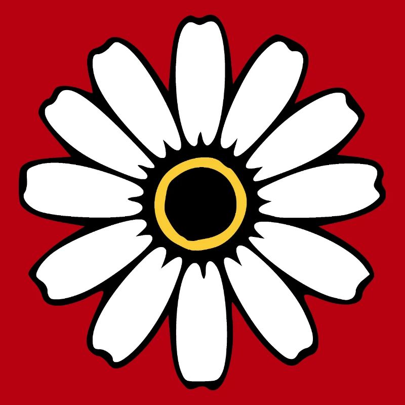Fleurs blanches Fleurs blanches Fleurs blanches Fleurs sauvages Herbes