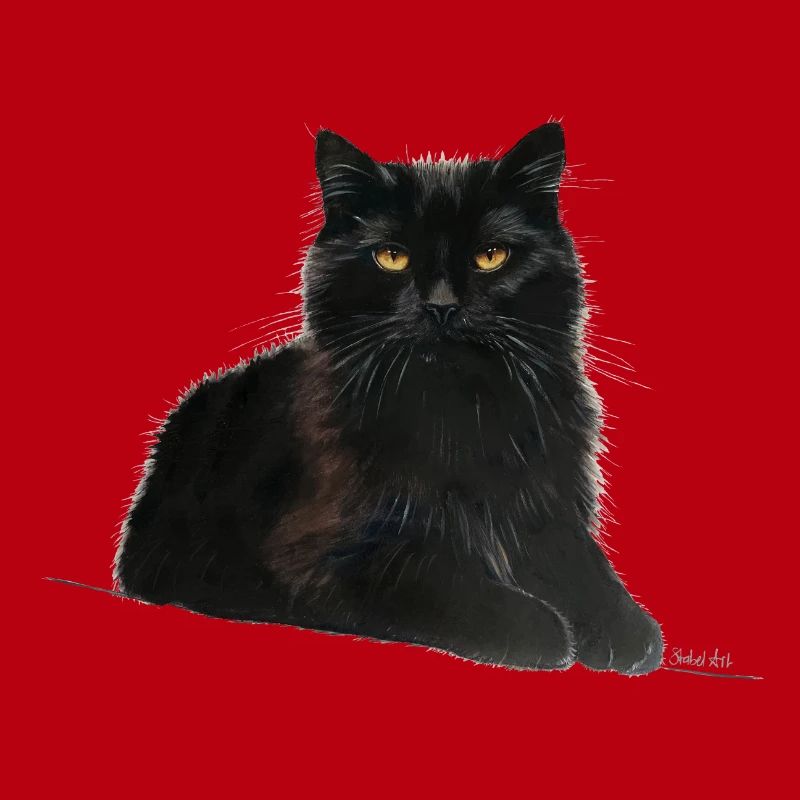 Chat