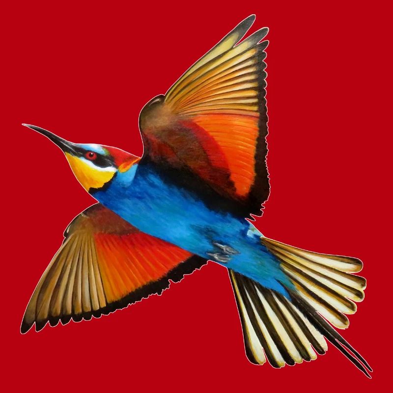 Guêpier Oiseau