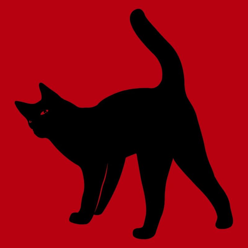 Chat chat