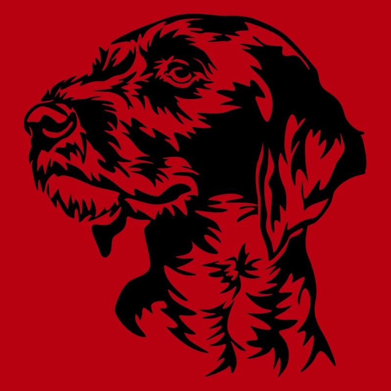 German Wirehaired Pointer head
