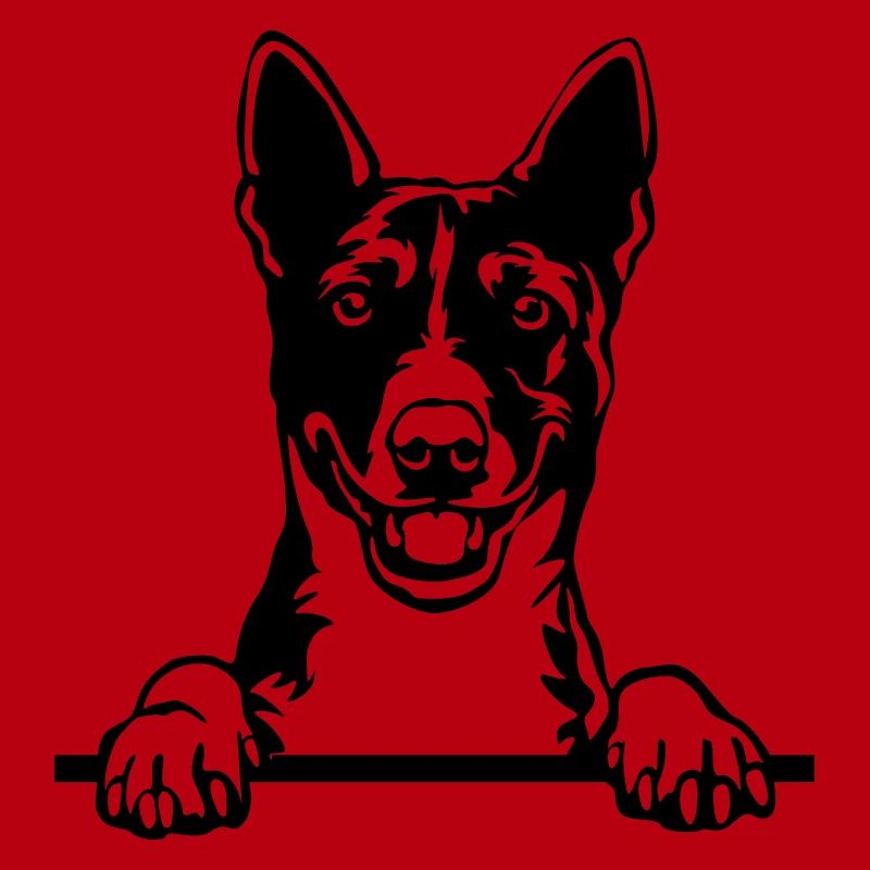 Basenji Head