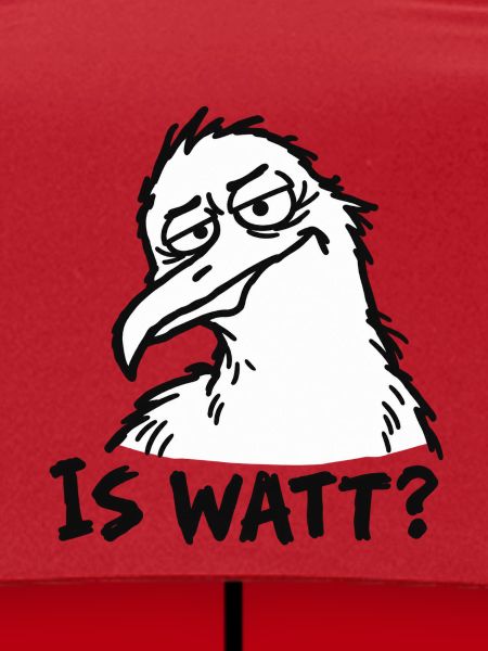 IS WATT? – Misstrauische Möwe