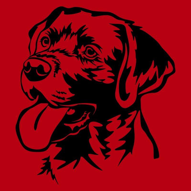 Labrador Retriever Kopf