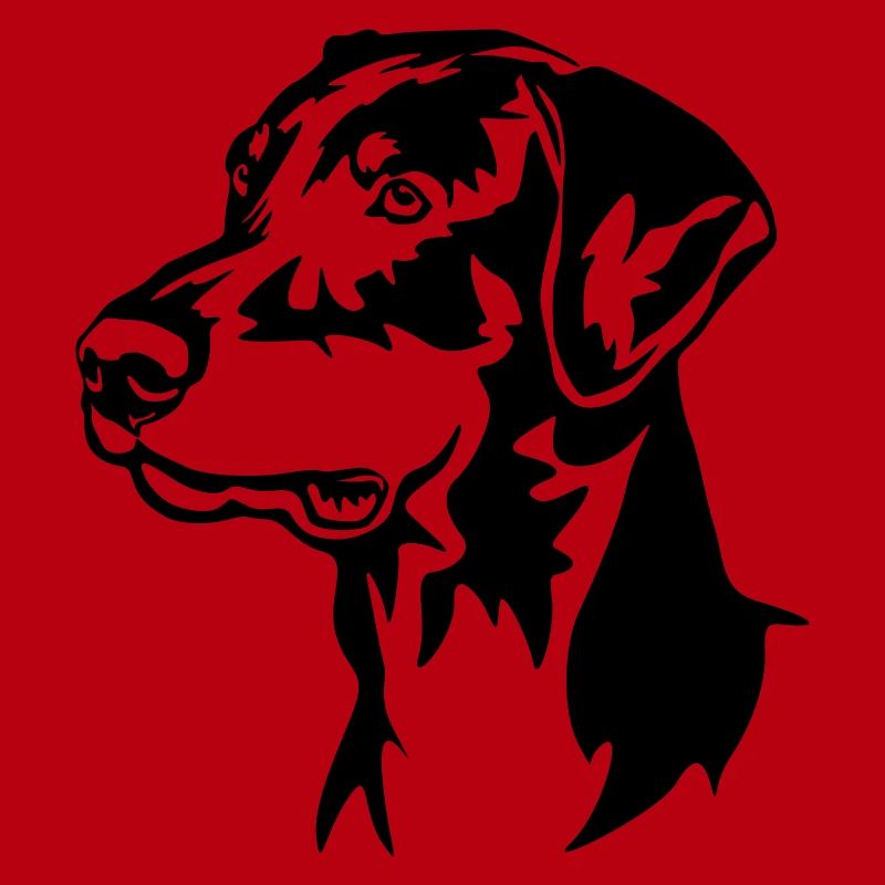 Tête de Doberman