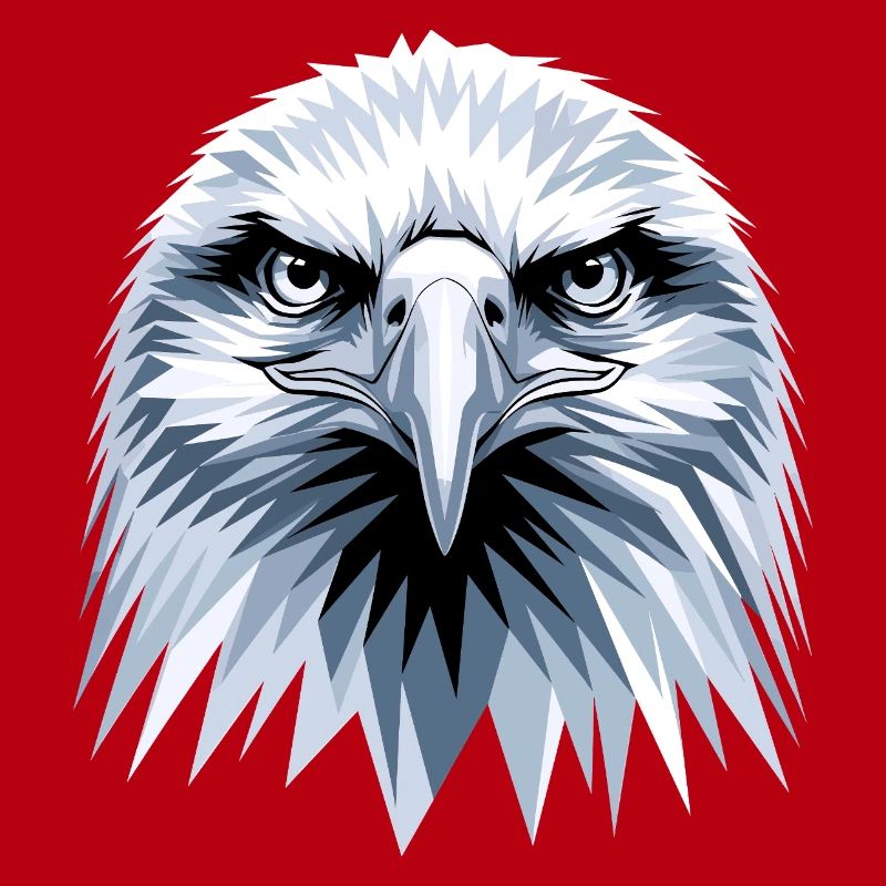 Eagle Bald Eagle Golden Eagle White-tailed Eagle