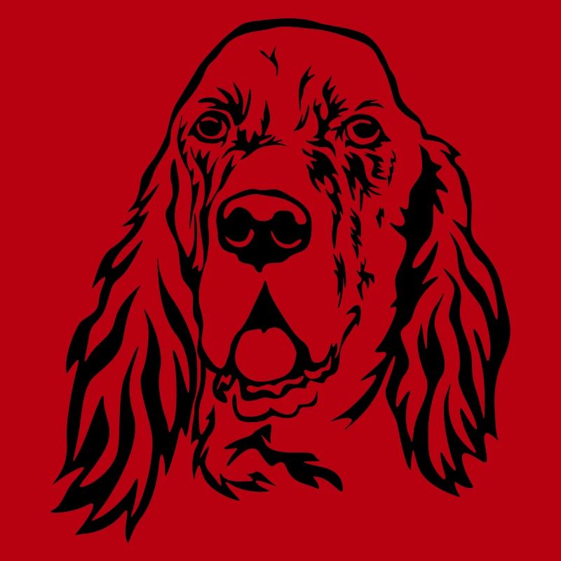 Englischer Setter Kopf