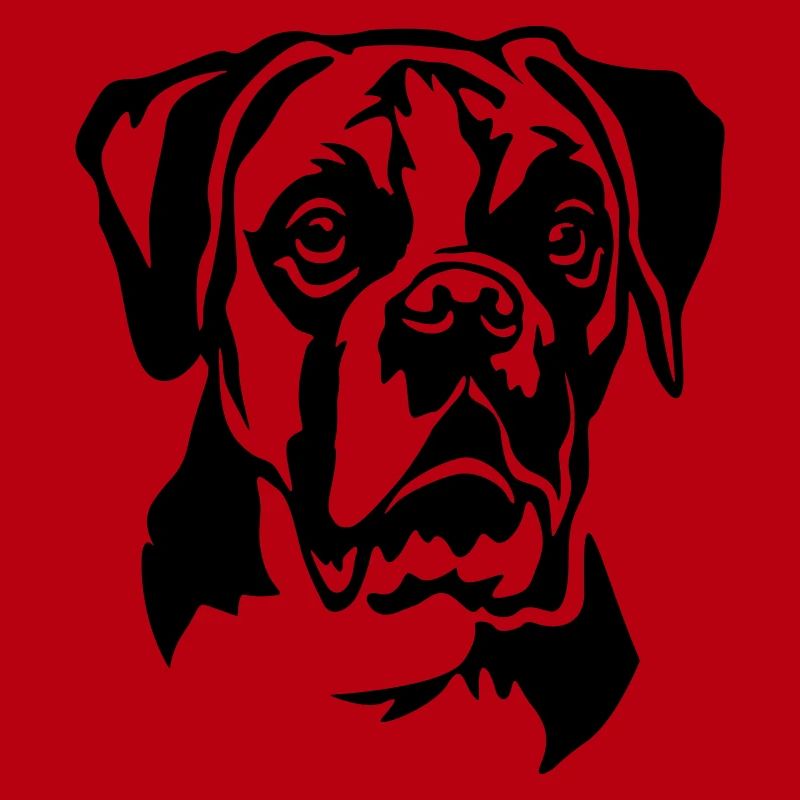Boxer Head