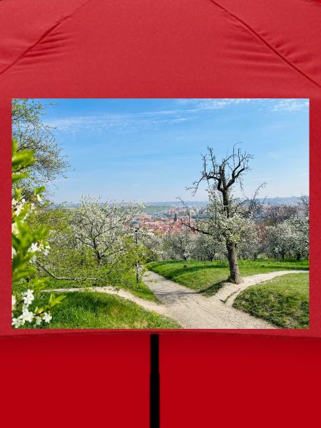 Frühlingsansicht mit blühendem Obstgarten