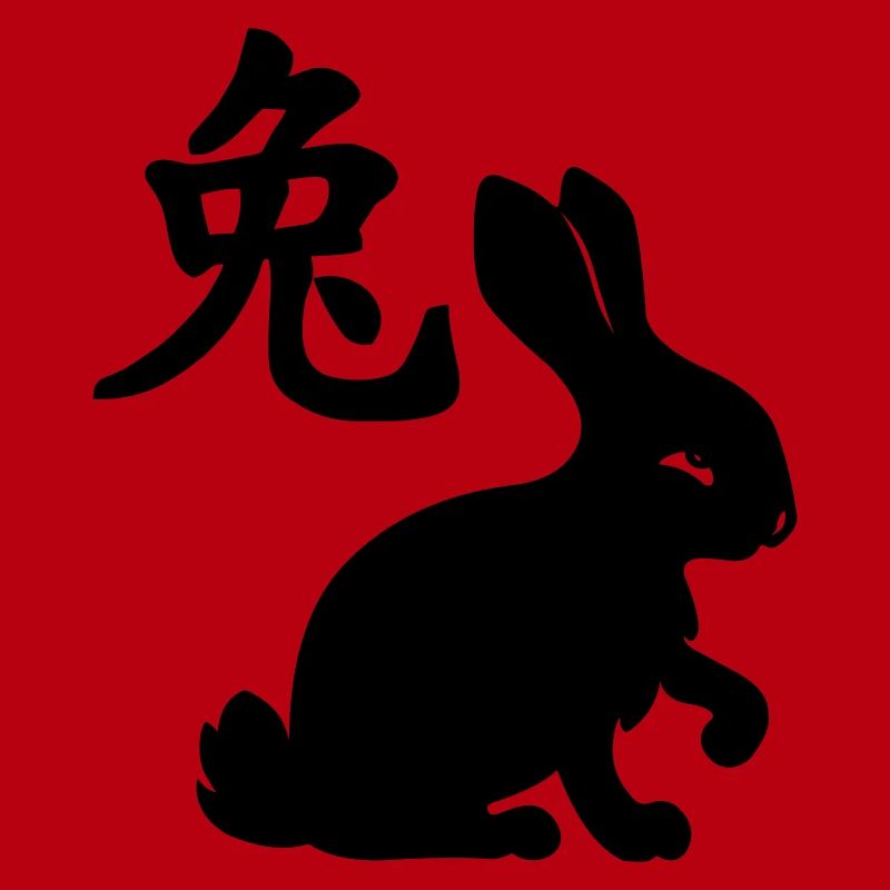 Chinese character rabbit with rabbit image