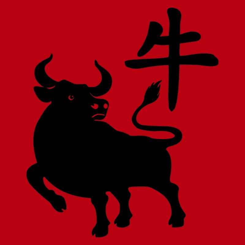 Caractère chinois OS avec image du système d’exploitation, ombre