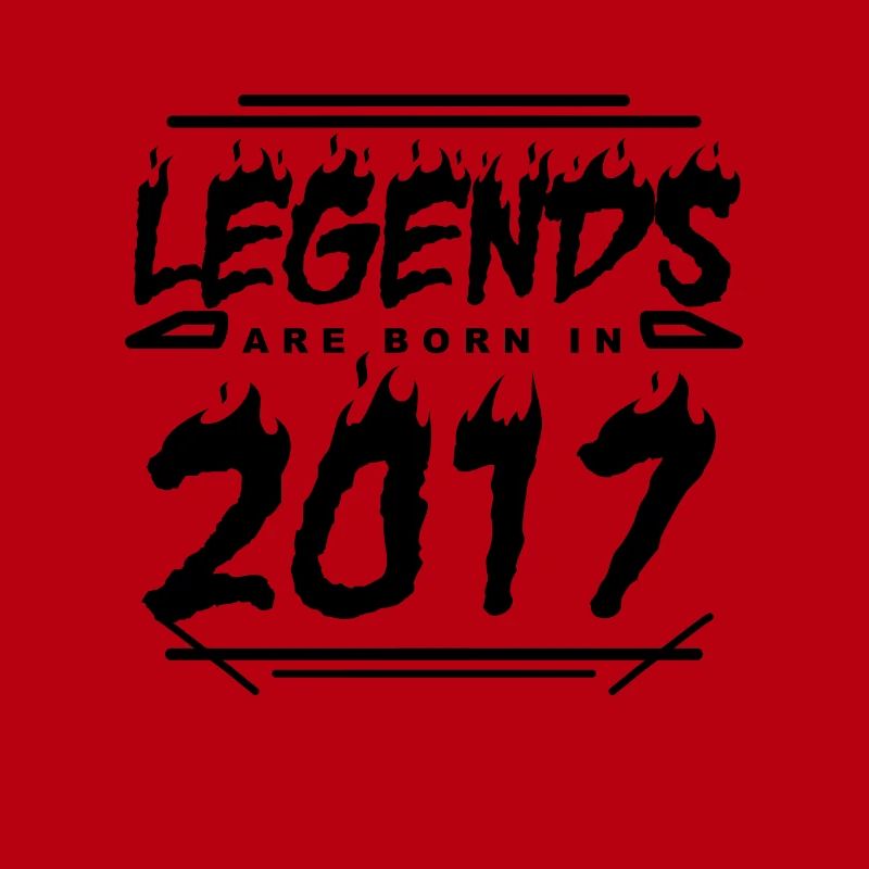 2017 - Année de construction 2017 - Année de construction 2017