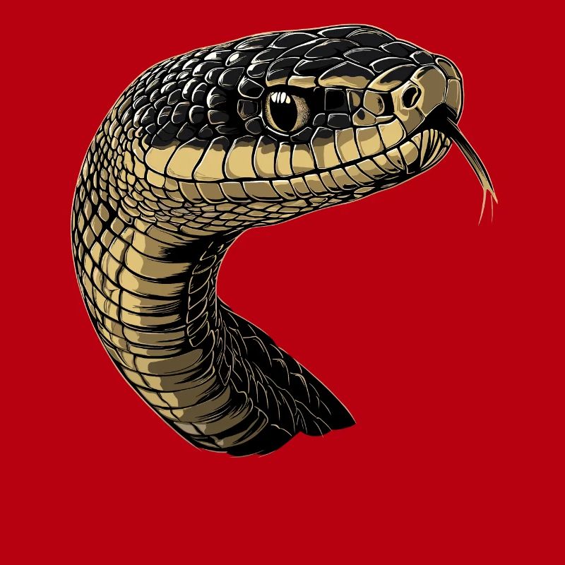 Schlange Python Kobra Mamba Klapperschlange Snake